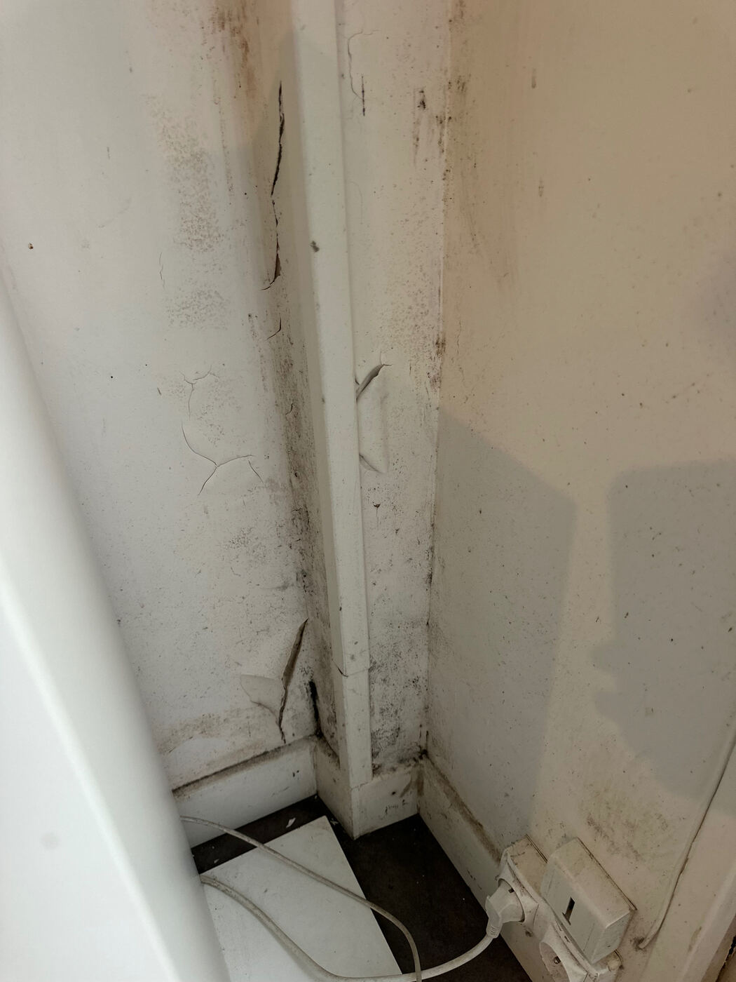 Gros plan sur des moisissures noires en angle de mur et de plafond