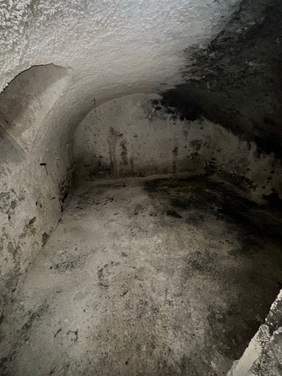 Cave humide à Versailles : que révèlent des traces noires, du salpêtre et une voûte dégradée ?