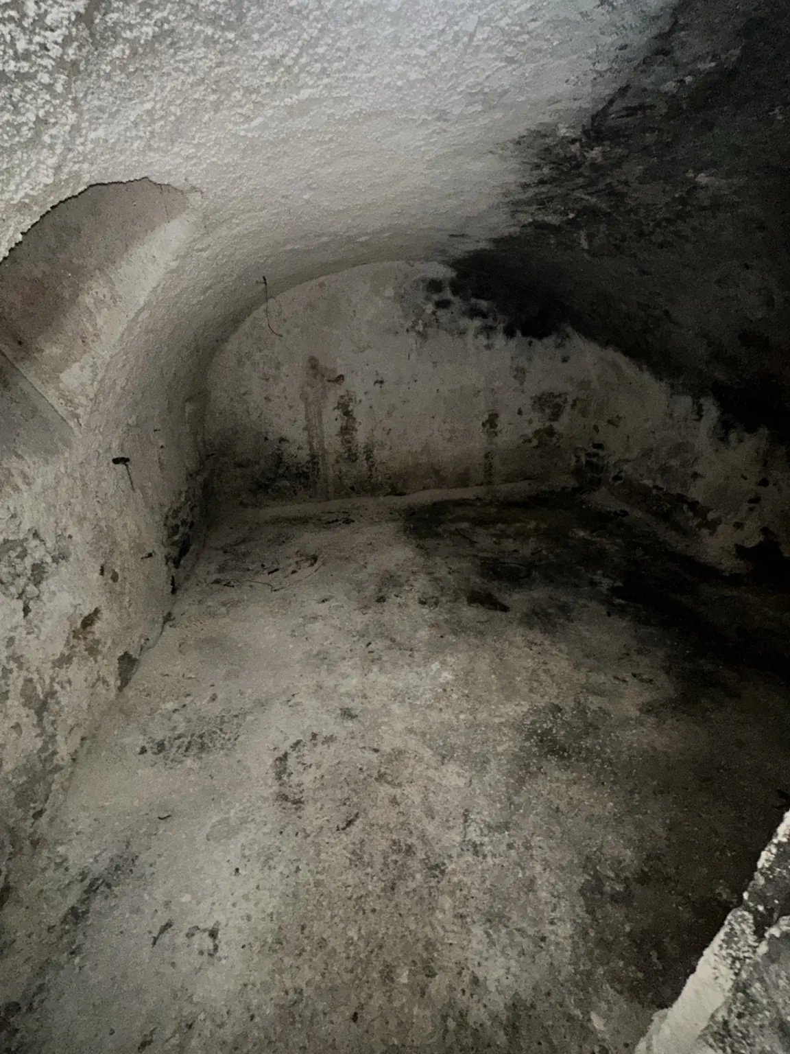 Cave ancienne humide à Versailles présentant des voûtes dégradées, traces noires et dépôts blanchâtres de salpêtre