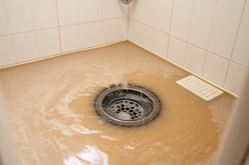 Eau sale remontant par le siphon de douche, signe d'un refoulement de canalisation