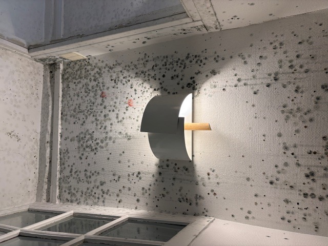 Développement de moisissures noires dans l'angle entre un mur et un plafond