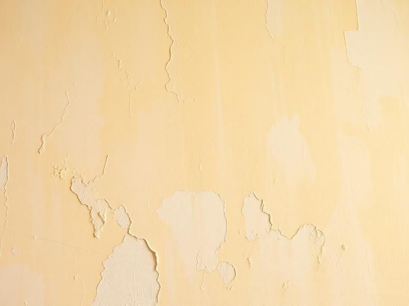 Pourquoi peindre un mur humide est une erreur qui aggrave le problème